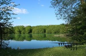 Maisons de vacances Modern 2 Bed Bungalow situated in Rives Villereal : photos des chambres