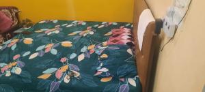 Eliza-Moses homestay