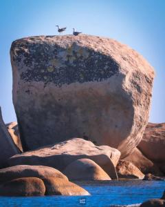 Appartements Magnifique 70m2 avec patio terrasse en bord de mer : photos des chambres