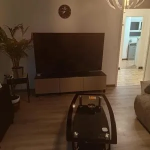 Schöne Wohnung mit grosse Terasse - 沙泰勒圣但尼