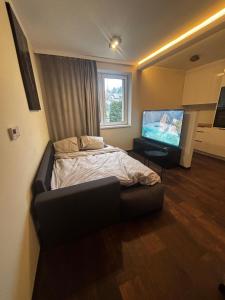 Apartament Krosno Żółkiewskiego 10