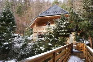 Forest House- dom nad górskim potokiem - Bystra