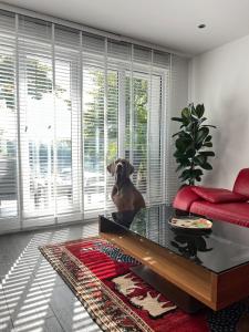 Waterfront Apartment am Main, 15 Min Frankfurt Airport, Terrasse, Free Parking