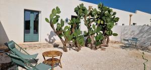 Suite con Vista Giardino