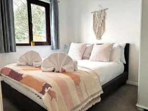 Kenegie View, Bright & Vibrant 2-Bedroom with Shared facilities on site! - Paul