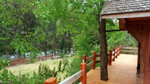 Lodge Altos de Curarrehue