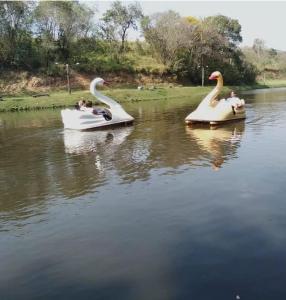 Chale ITU -Camping Carrion - Tomorrowland