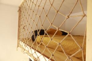 Appartement Cosy Centre Nice