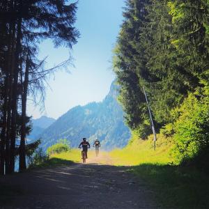 Appartements Family stays in Petite Ferme Les Bouts & Grenier Les Bouts - 2 properties side by side : photos des chambres