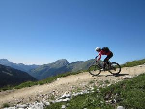 Appartements Family stays in Petite Ferme Les Bouts & Grenier Les Bouts - 2 properties side by side : photos des chambres