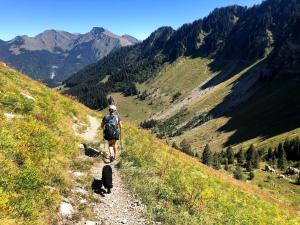 Appartements Family stays in Petite Ferme Les Bouts & Grenier Les Bouts - 2 properties side by side : photos des chambres