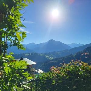 Appartements Family stays in Petite Ferme Les Bouts & Grenier Les Bouts - 2 properties side by side : photos des chambres