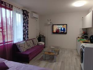 Ваканционно студио Трявна