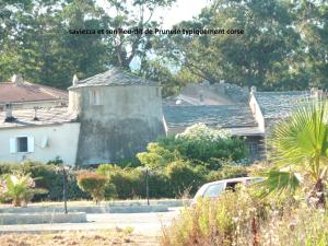 Villas Villa bord de mer,3 chambres, piscine chauffee, climatisee : photos des chambres