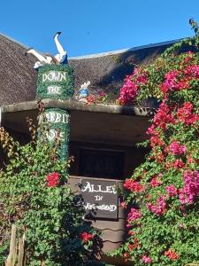 Hidden Dragon Guest Rooms