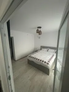 Casa Berbec 3 Studio - 萨拉他蒙蒂鲁