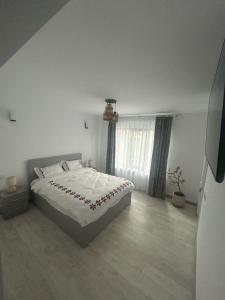 Casa Berbec 3 Studio