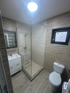 Casa Berbec 3 Studio