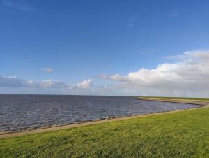 Tinyhouse Bij de Afsluitdijk