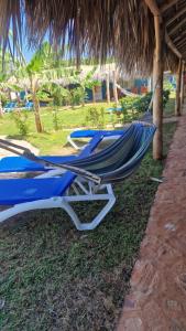 Gecko Azul, Las Galeras