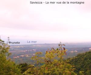 Villas Villa bord de mer,3 chambres, piscine chauffee, climatisee : photos des chambres