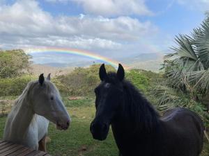 Artistic house in a coffee plantation