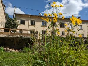 Maisons de vacances Gite le Marmare : photos des chambres