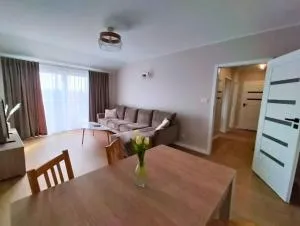 Jaśminowy Apartament - 奥尔什蒂内克