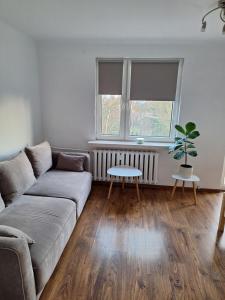 Apartament Żółkiewski