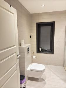 Cozy apartment near ski attractions