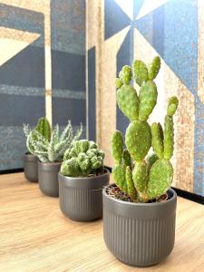 Simposio - Luxury Apartment Rome