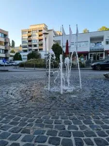 Hotel am Rosenpark - 辛佩尔费尔德