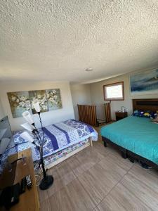 Cabaña en algarrobo