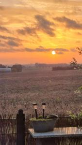 Marsvinslund bed and breakfast