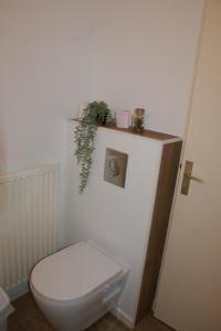 Appartements VANNES Les JARDINS DU PORT : photos des chambres