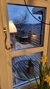 Marsvinslund bed and breakfast