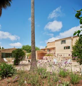Sa Sinia - Finca en el corazón de la Tramuntana