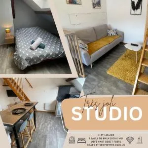 Superbe studio à proximité du centre-ville - 圣迪耶