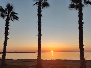 Palm garden paradise - 4hvězdičkové hotely ve městě Perivolia