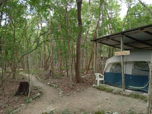 Campamento Yaax Che en Calakmul