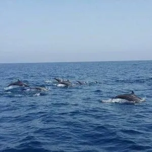 JRN Island sea view Beach Resort Honnavar - Harkantarkeri