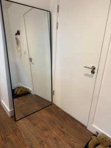 Dynamic Luxury Apartment