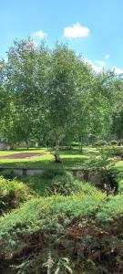 "LAGO VERDE COMO" free park