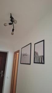 Balvi center apartment