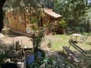 Cabane bambou - Apt