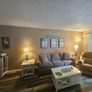 Professor Rousseau's Sea Turtle Sanctuary - Hernando