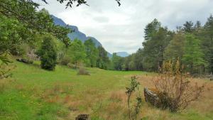 Lodge Altos de Curarrehue
