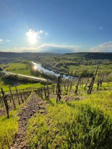 Urlaub-WeinhofHerrenberg 2
