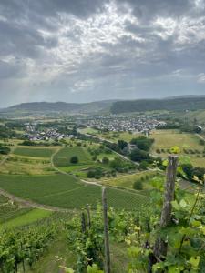 Urlaub-WeinhofHerrenberg 2