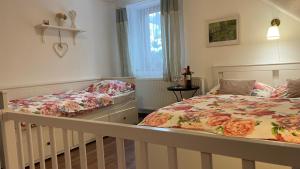 Chalupa Maršíkov 120